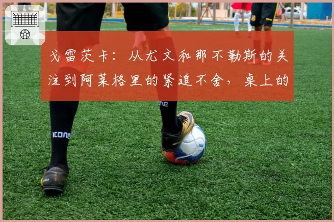 戈雷茨卡：从尤文和那不勒斯的关注到阿莱格里的紧追不舍，桌上的数百万欧元